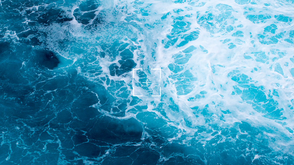 Let's Save Our Ocean