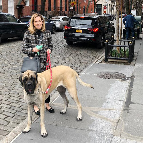NY Plastic Bag Ban