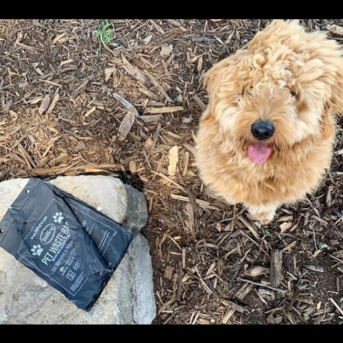 Plastic Free Pet Poop