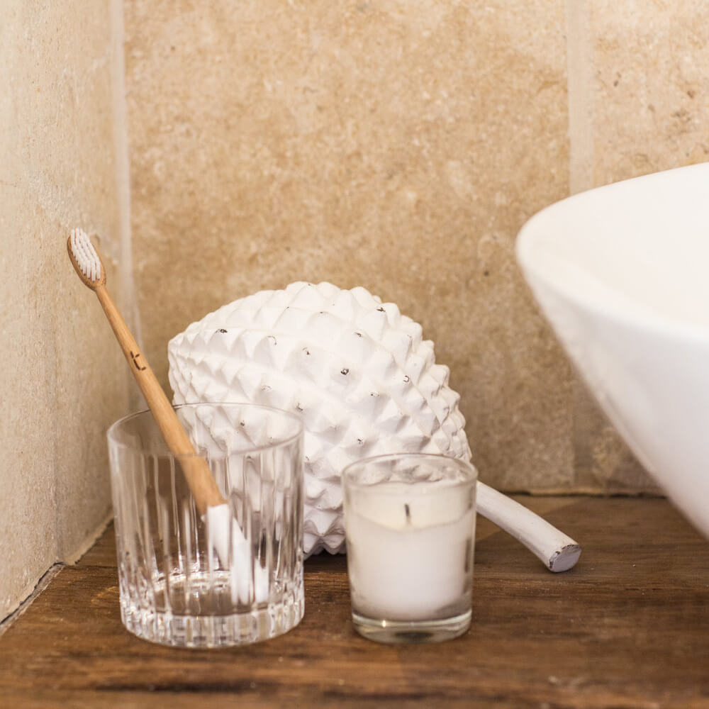 Plastic Free Toothbrush